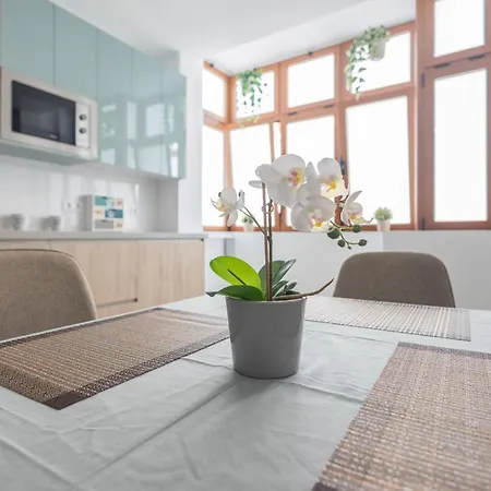 Vakantiehuis Vegueta Cool Flat - 2br - Workfriendly